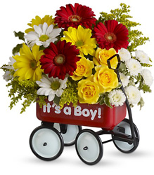 Baby's Wow Wagon by Teleflora from Weidig's Floral in Chardon, OH